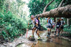 BIB: 
                            <button type="button" onclick="openModal(25374936)" class="btn btn-primary btn-sm float-right btn-popup" data-toggle="modal" data-target=".modal-high-quality">
                        <i class="fas fa-shopping-cart"></i> Add to Cart
                    </button>
                                            <button type="button" onclick="isThisMe(25374936, true)" class="btn btn-success btn-sm float-right btn-popup btn-isme hidden" data-toggle="tooltip" data-placement="bottom" title="นี่คือรูปของคุณใช่ไหม คลิกที่นี่เพื่อเอาเข้าอัลบั้ม">
                        <i class="fas fa-plus"></i> Add to album
                    </button>
                    <button type="button" onclick="isThisMe(25374936, false)" class="btn btn-warning btn-sm float-right btn-popup btn-isnotme hidden">
                        <i class="fas fa-ban"></i> Remove from album
                    </button>